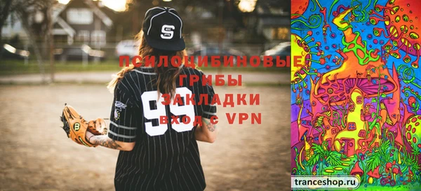 молекула духа Бронницы
